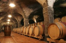 Wine tasting