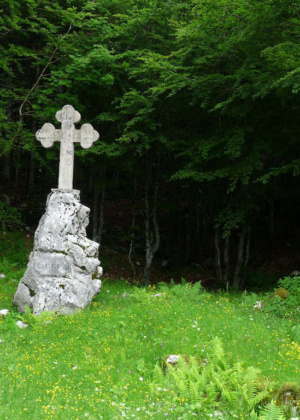 trip-planina_golobar-1