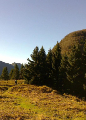 trip-planina_golobar-5