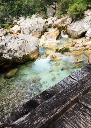 trip-soca_trail-01