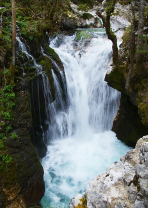 trip-sunikov_vodni_gaj-5