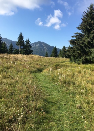 trip-javorscek_planina_2